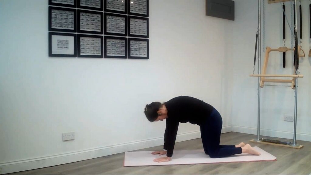 Spine Mobility