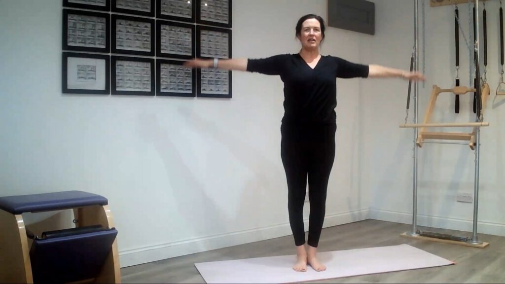 Standing mobility exercises